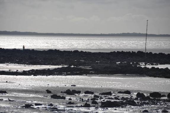 Fim de tarde de maré baixa em Algodoal - PA